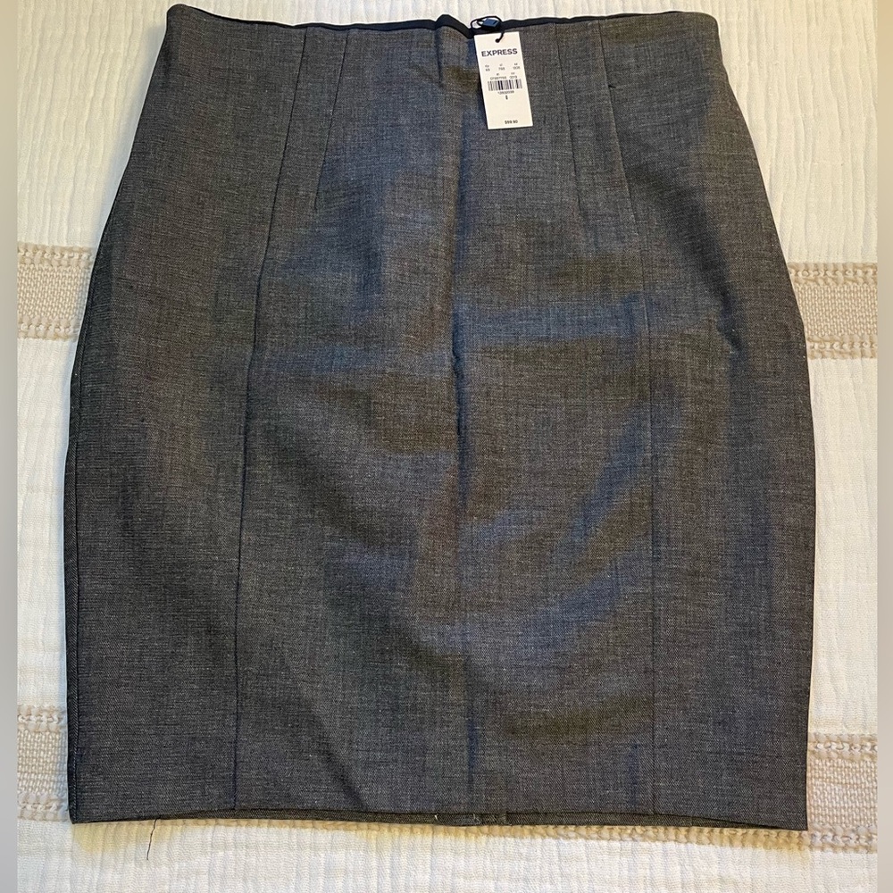 Express Pencil Skirt
